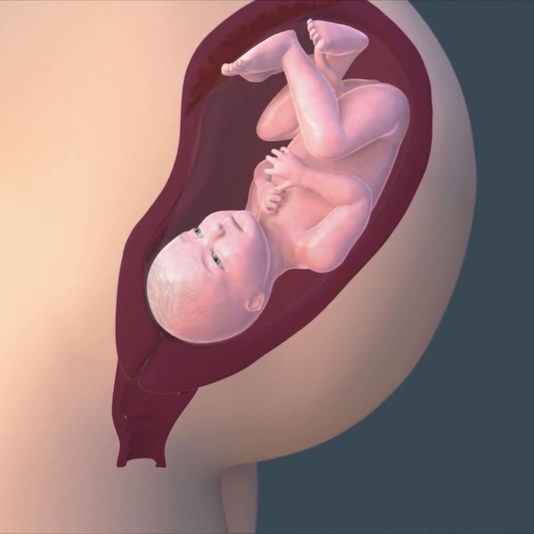 thai 35 tuần phát triển như thế nào