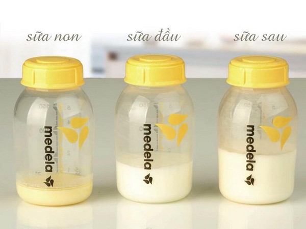 Sử dụng sữa non thời gian dài có tác dụng gì?